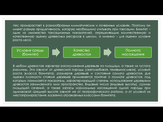 Лес произрастает в разнообразных климатических и почвенных условиях. Поэтому он