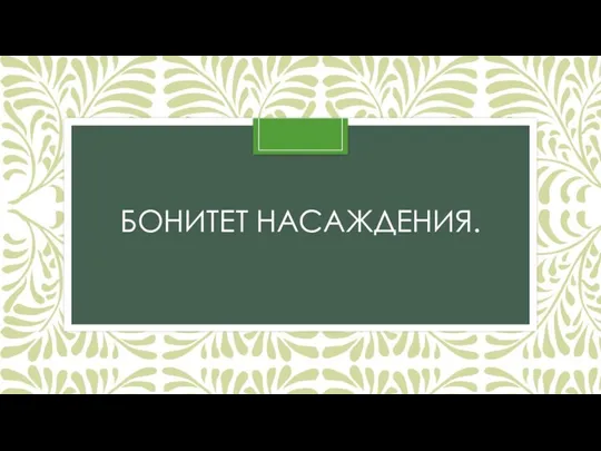 БОНИТЕТ НАСАЖДЕНИЯ.