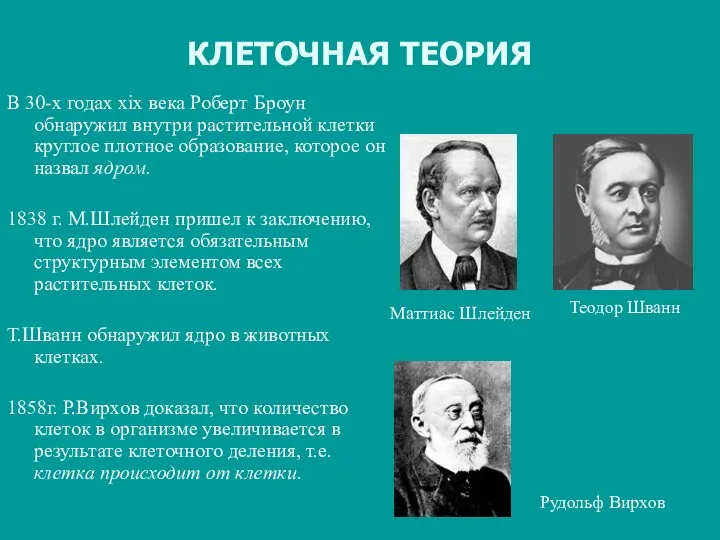 КЛЕТОЧНАЯ ТЕОРИЯ В 30-х годах xix века Роберт Броун обнаружил