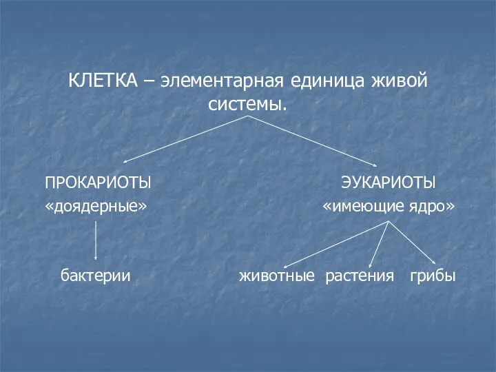 КЛЕТКА – элементарная единица живой системы. ПРОКАРИОТЫ ЭУКАРИОТЫ «доядерные» «имеющие ядро» бактерии животные растения грибы