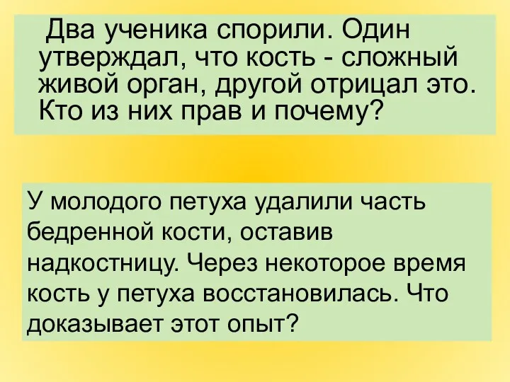 Два ученика спорили. Один утверждал, что кость - сложный живой