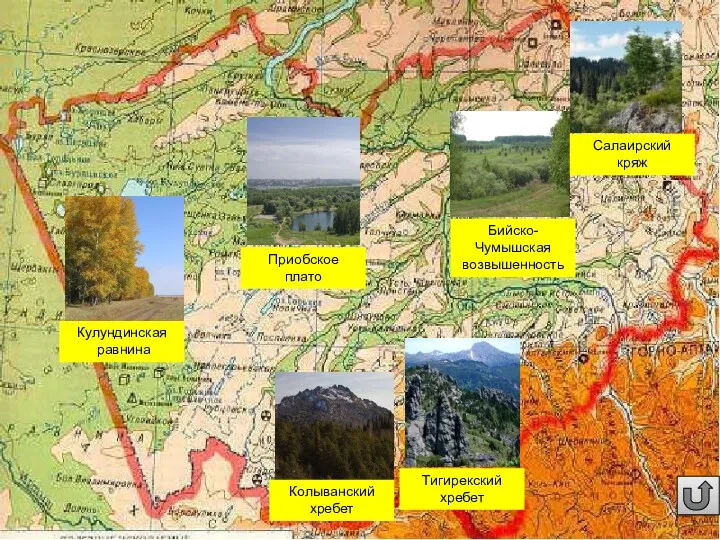 Кулундинская равнина Приобское плато Бийско-Чумышская возвышенность Салаирский кряж Колыванский хребет Тигирекский хребет