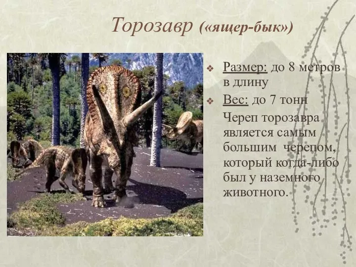 Торозавр («ящер-бык») Размер: до 8 метров в длину Вес: до