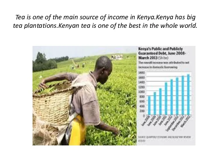 Tea is one of the main source of income in