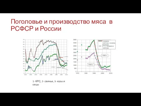 Поголовье и производство мяса в РСФСР и России 1- КРС, 2- свиньи, 3- козы и овцы