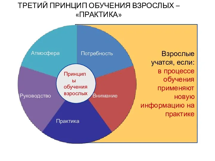 Принципы обучения взрослых Потребность Внимание Практика Атмосфера ТРЕТИЙ ПРИНЦИП ОБУЧЕНИЯ ВЗРОСЛЫХ – «ПРАКТИКА» Руководство