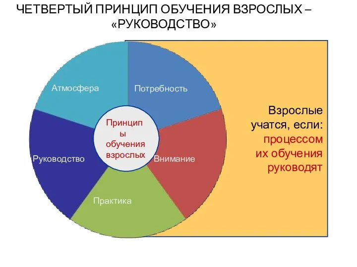 Принципы обучения взрослых Потребность Внимание Практика Атмосфера ЧЕТВЕРТЫЙ ПРИНЦИП ОБУЧЕНИЯ ВЗРОСЛЫХ – «РУКОВОДСТВО» Руководство