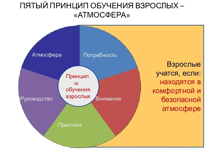 Принципы обучения взрослых Потребность Внимание Практика Атмосфера ПЯТЫЙ ПРИНЦИП ОБУЧЕНИЯ ВЗРОСЛЫХ – «АТМОСФЕРА» Руководство