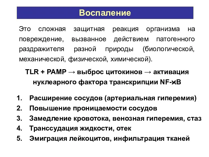 Расширение сосудов (артериальная гиперемия) Повышение проницаемости сосудов Замедление кровотока, венозная