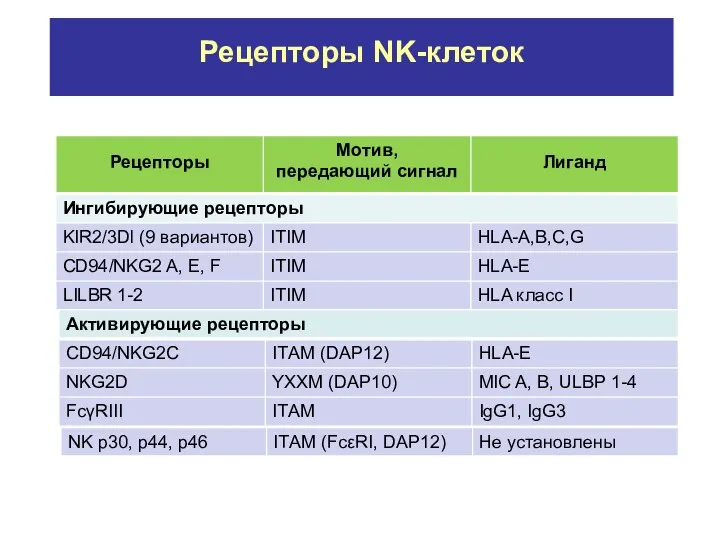 Рецепторы NK-клеток