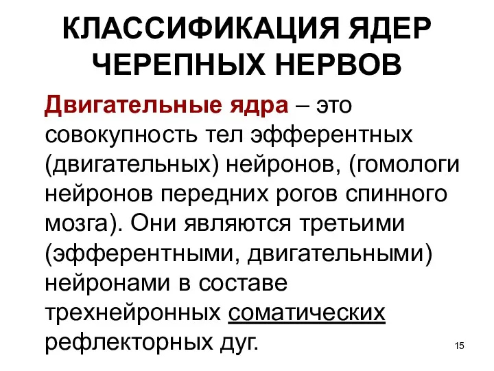 КЛАССИФИКАЦИЯ ЯДЕР ЧЕРЕПНЫХ НЕРВОВ Двигательные ядра – это совокупность тел