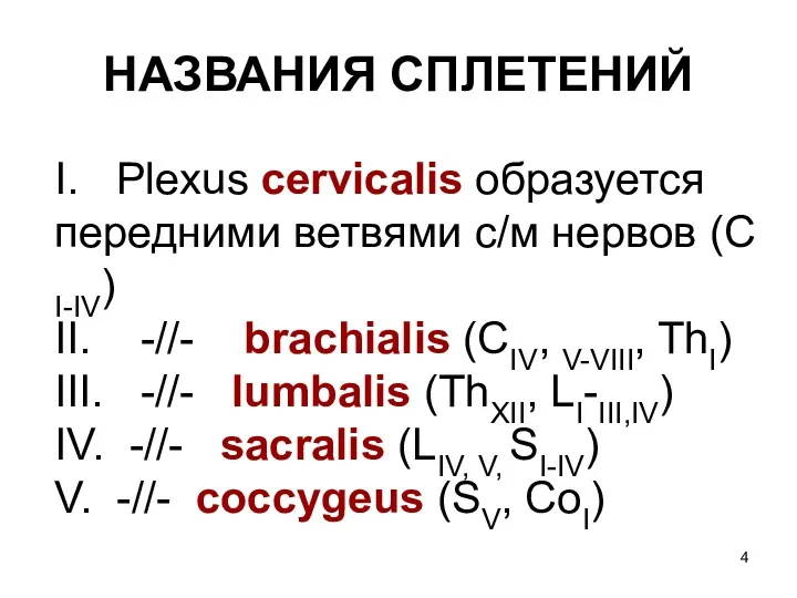 НАЗВАНИЯ СПЛЕТЕНИЙ I. Plexus cervicalis образуется передними ветвями с/м нервов