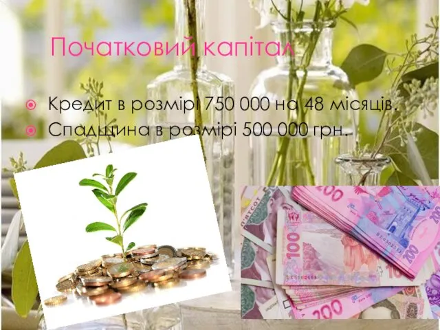 Початковий капітал Кредит в розмірі 750 000 на 48 місяців. Спадщина в розмірі 500 000 грн.