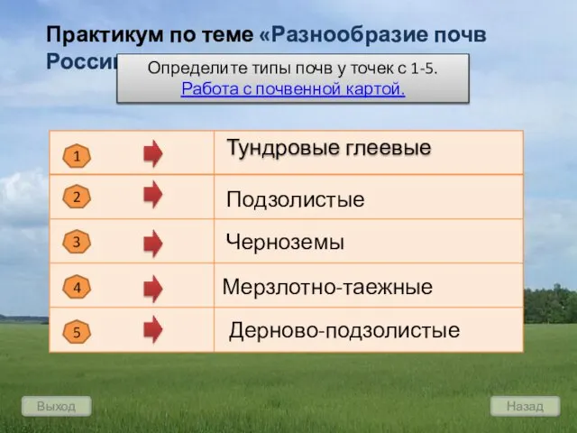 Выход Назад Практикум по теме «Разнообразие почв России» Определите типы