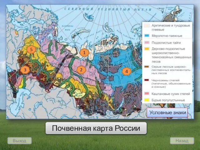 Выход Назад 1 2 3 4 5 Почвенная карта России Условные знаки