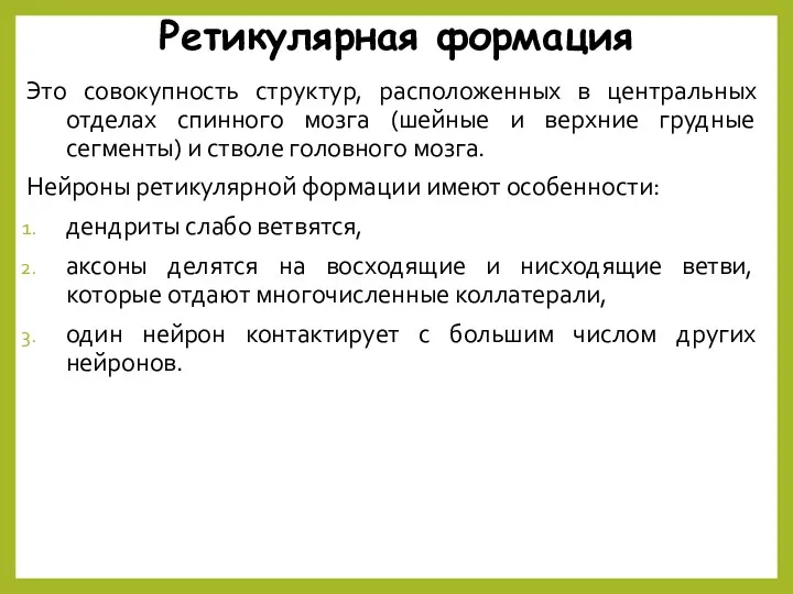 Ретикулярная формация Это совокупность структур, расположенных в центральных отделах спинного