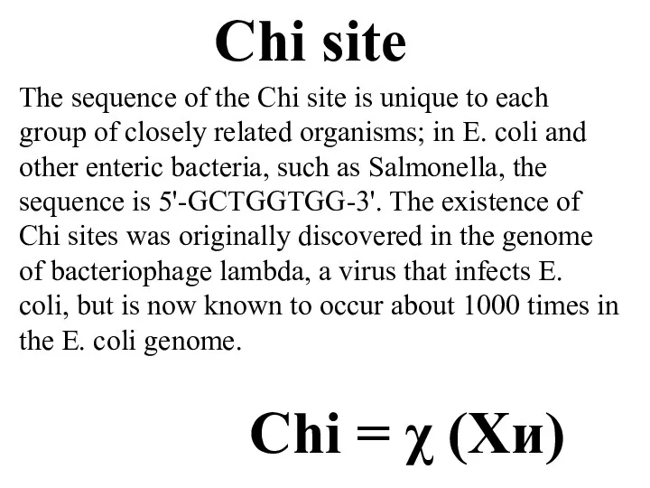 The sequence of the Chi site is unique to each