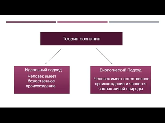 Теория сознания Человек имеет естественное происхождение и является частью живой