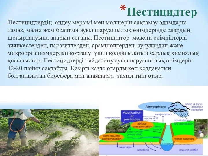 Пестицидтер Пестицидтердің өңдеу мерзімі мен мөлшерін сақтамау адамдарға тамақ, малға