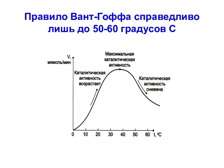 Правило Вант-Гоффа справедливо лишь до 50-60 градусов С