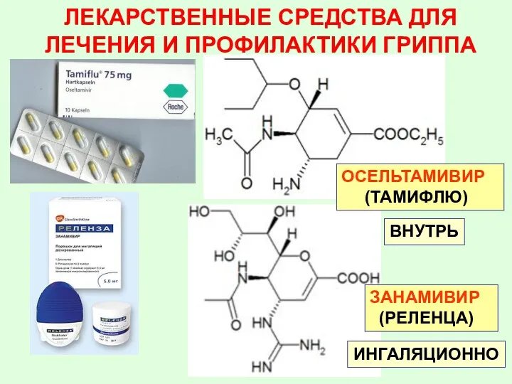 ЗАНАМИВИР (РЕЛЕНЦА) ОСЕЛЬТАМИВИР (ТАМИФЛЮ) ЛЕКАРСТВЕННЫЕ СРЕДСТВА ДЛЯ ЛЕЧЕНИЯ И ПРОФИЛАКТИКИ ГРИППА ВНУТРЬ ИНГАЛЯЦИОННО