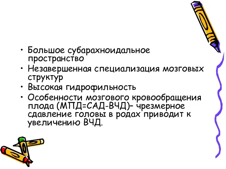 Большое субарахноидальное пространство Незавершенная специализация мозговых структур Высокая гидрофильность Особенности