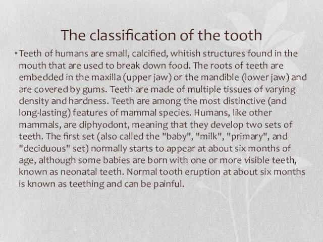 The classification of the tooth Teeth of humans are small, calcified, whitish structures