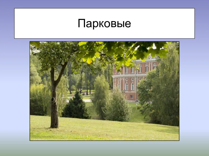 Парковые