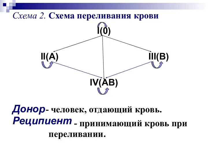 Схема 2. Схема переливания крови I(0) II(A) III(B) IV(AB) Донор