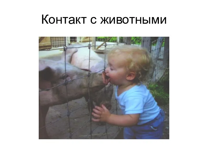 Контакт с животными