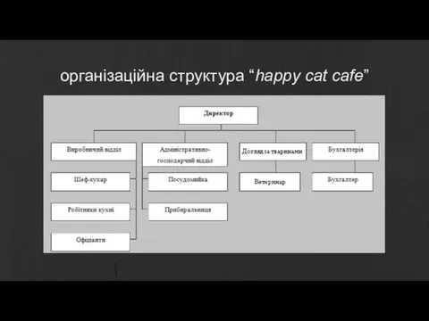 організаційна структура “happy cat cafe”