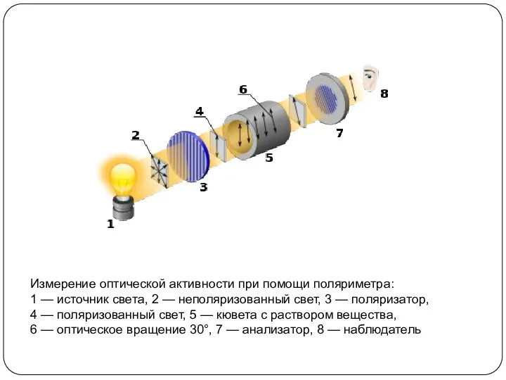 Измерение оптической активности при помощи поляриметра: 1 — источник света, 2 — неполяризованный