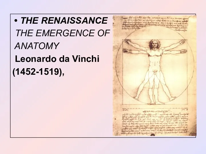 THE RENAISSANCE THE EMERGENCE OF ANATOMY Leonardo da Vinchi (1452-1519),