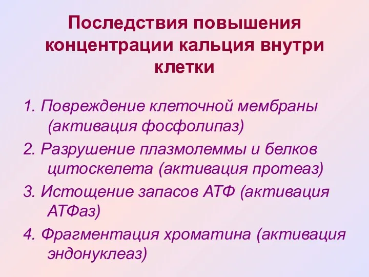 Последствия повышения концентрации кальция внутри клетки 1. Повреждение клеточной мембраны