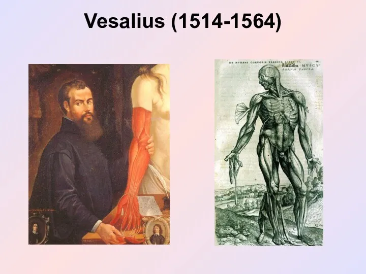 Vesalius (1514-1564)