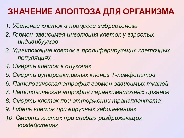 ЗНАЧЕНИЕ АПОПТОЗА ДЛЯ ОРГАНИЗМА 1. Удаление клеток в процессе эмбриогенеза