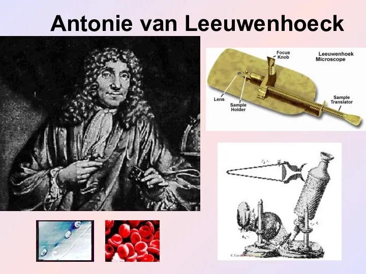 Antonie van Leeuwenhoeck