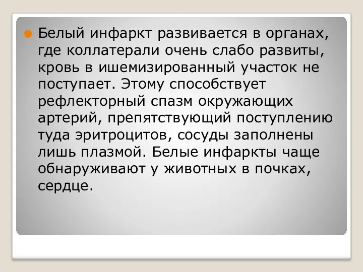 Белый инфаркт развивается в органах, где коллатерали очень слабо развиты, кровь в ишемизированный