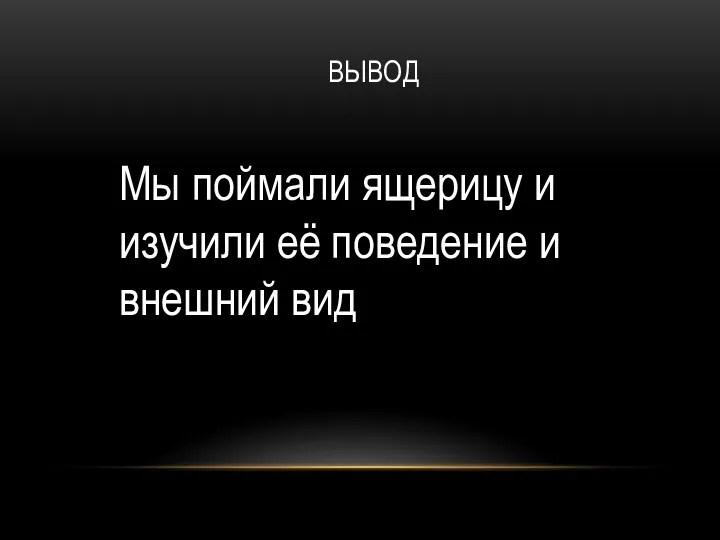 ВЫВОД Мы поймали ящерицу и изучили её поведение и внешний вид