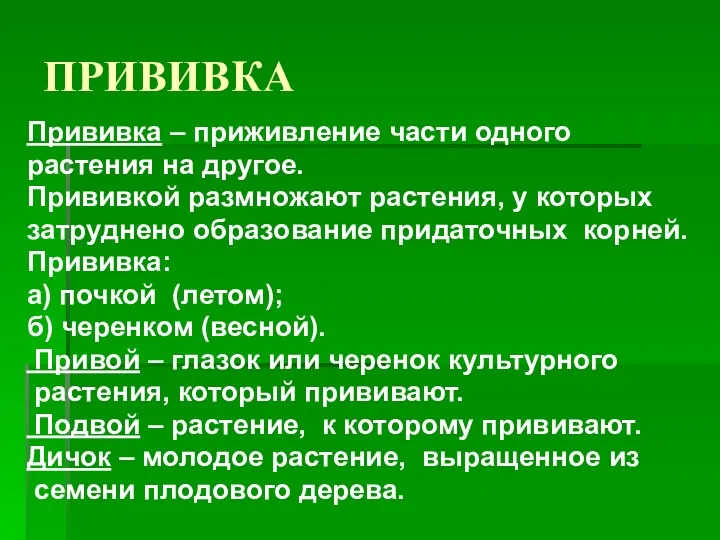 ПРИВИВКА Прививка – приживление части одного растения на другое. Прививкой