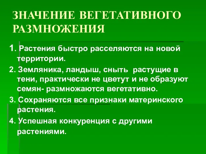 ЗНАЧЕНИЕ ВЕГЕТАТИВНОГО РАЗМНОЖЕНИЯ 1. Растения быстро расселяются на новой территории.