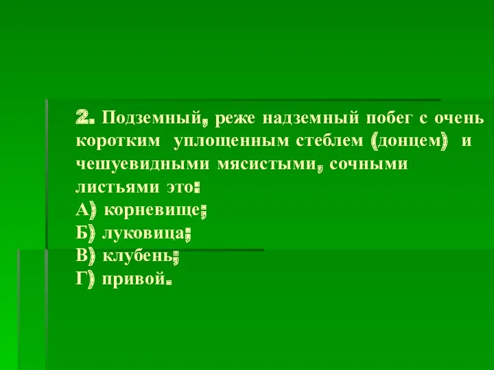 2. Подземный, реже надземный побег с очень коротким уплощенным стеблем