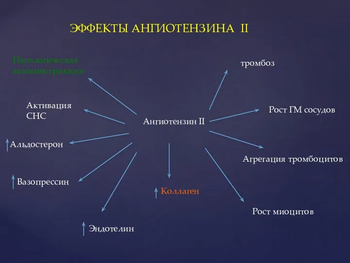 ЭФФЕКТЫ АНГИОТЕНЗИНА II Ангиотензин II Патологическая вазоконстрикция Активация СНС Альдостерон Вазопрессин Эндотелин Коллаген