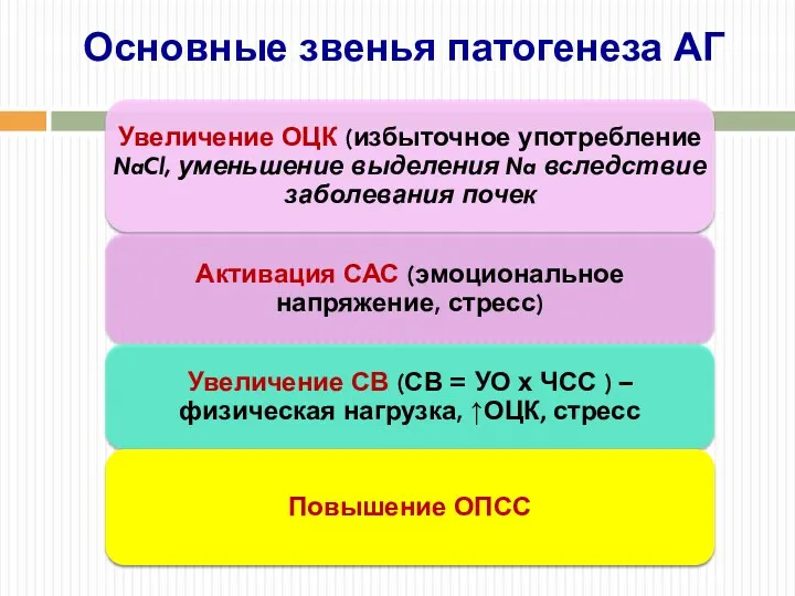 Основные звенья патогенеза АГ