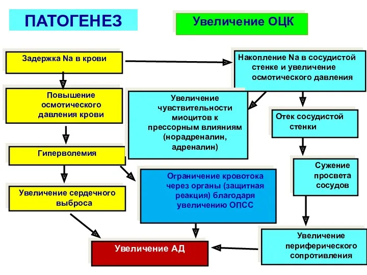 ПАТОГЕНЕЗ Задержка Na в крови Повышение осмотического давления крови Гиперволемия