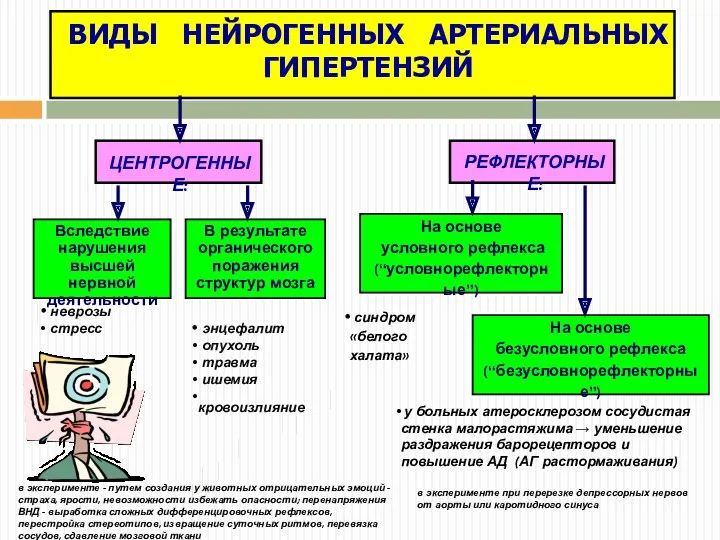 ВИДЫ НЕЙРОГЕННЫХ АРТЕРИАЛЬНЫХ ГИПЕРТЕНЗИЙ ЦЕНТРОГЕННЫЕ: РЕФЛЕКТОРНЫЕ: Вследствие нарушения высшей нервной