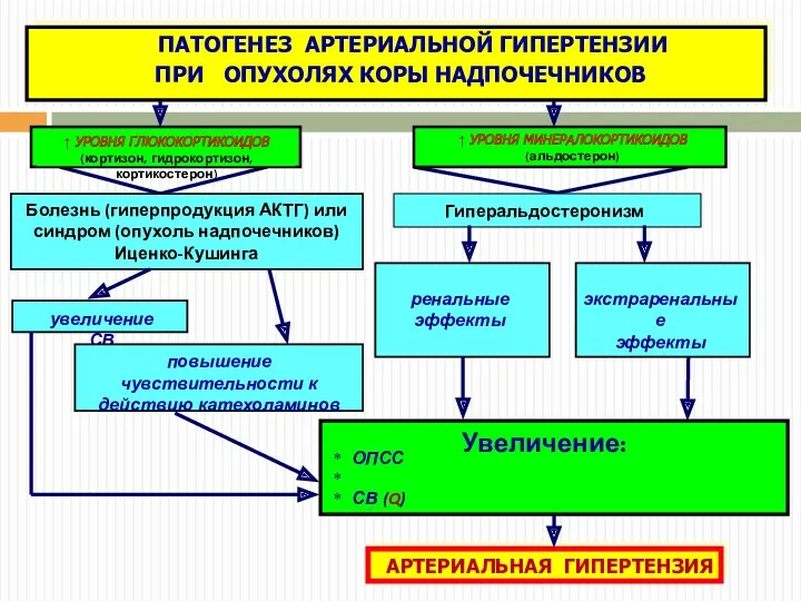 ↑ УРОВНЯ МИНЕРАЛОКОРТИКОИДОВ (альдостерон) экстраренальные эффекты