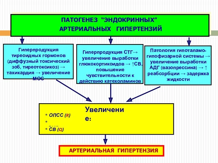 Гиперпродукция СТГ→ увеличение выработки глюкокортикоидов → ↑СВ, повышение чувствительности к действию катехоламинов