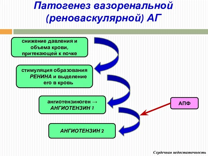 Патогенез вазоренальной (реноваскулярной) АГ стимуляция образования РЕНИНА и выделение его