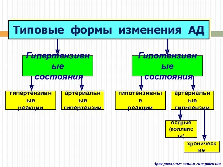 Артериальные гипо-и гипертензии